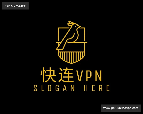 解读快连VPN